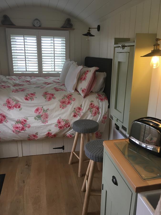 St Ives ダウンズフィールド ベッド ＆ ブレックファースト Bed & Breakfast エクステリア 写真